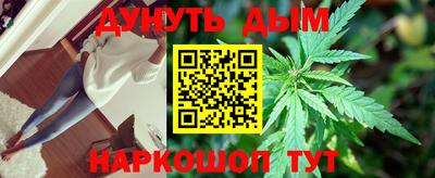 PSILOCYBIN Северобайкальск